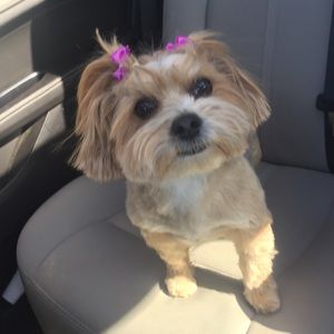 Meet your Posher, Brandi